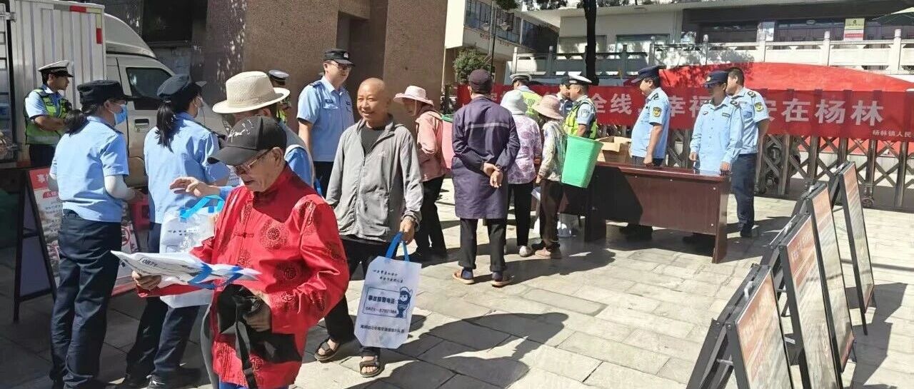 交通安全“赶大集” 文明出行“驻心间”——杨林镇开展道路交通安全专题宣传活动